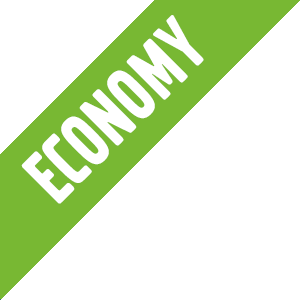 Economy - 6 Month Basic Driveline Warranty (Upgrade @ additional cost)